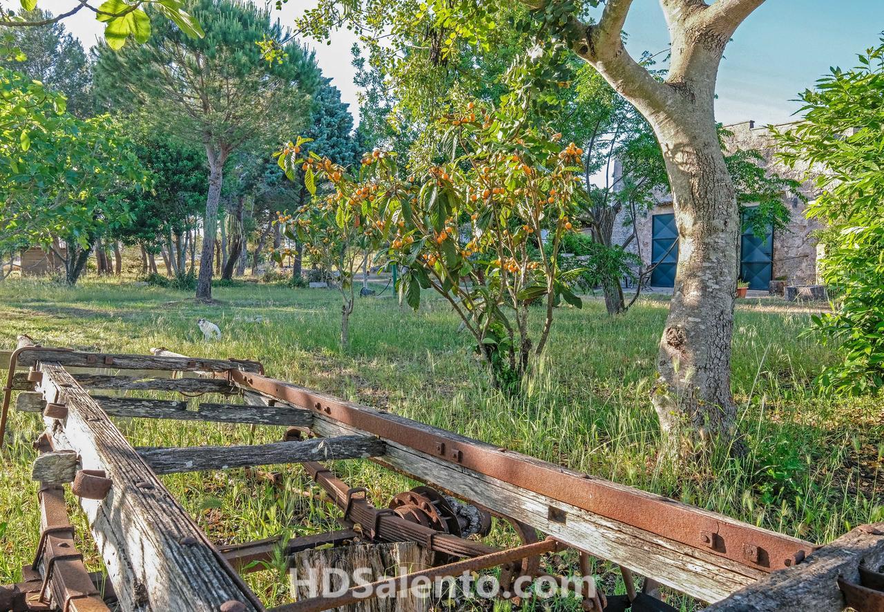 Bed and Breakfast Masseria Macurano Alessano Zewnętrze zdjęcie